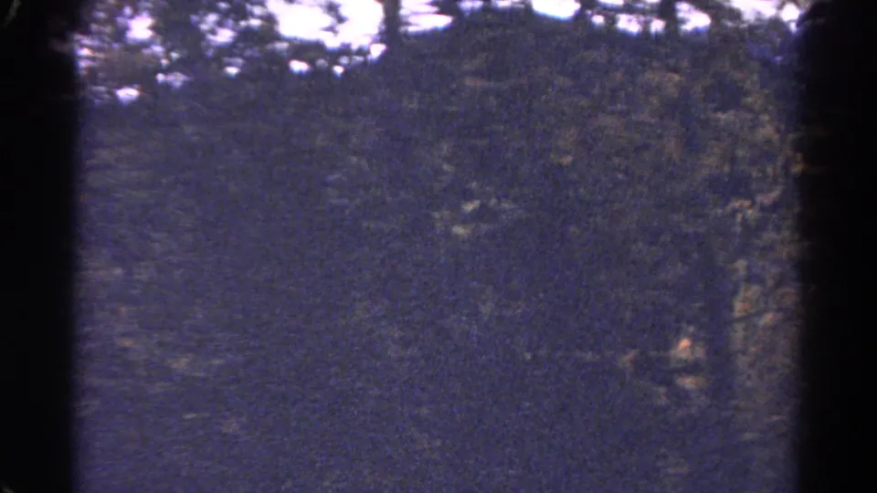 1967 Colorado 8mm frame showing evergreen-covered mountain slopes through a moving vehicle or obstructed film edge.