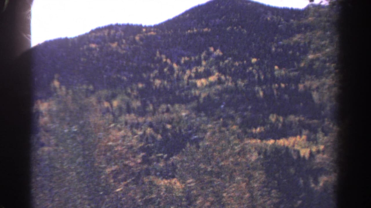 1967 Colorado landscape frame with a wooded ridge, autumn-toned trees, and a dark window or film-edge band in the foreground.