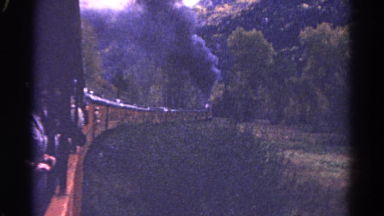 Steam train rounding a wooded curve with black smoke rising above the trees.