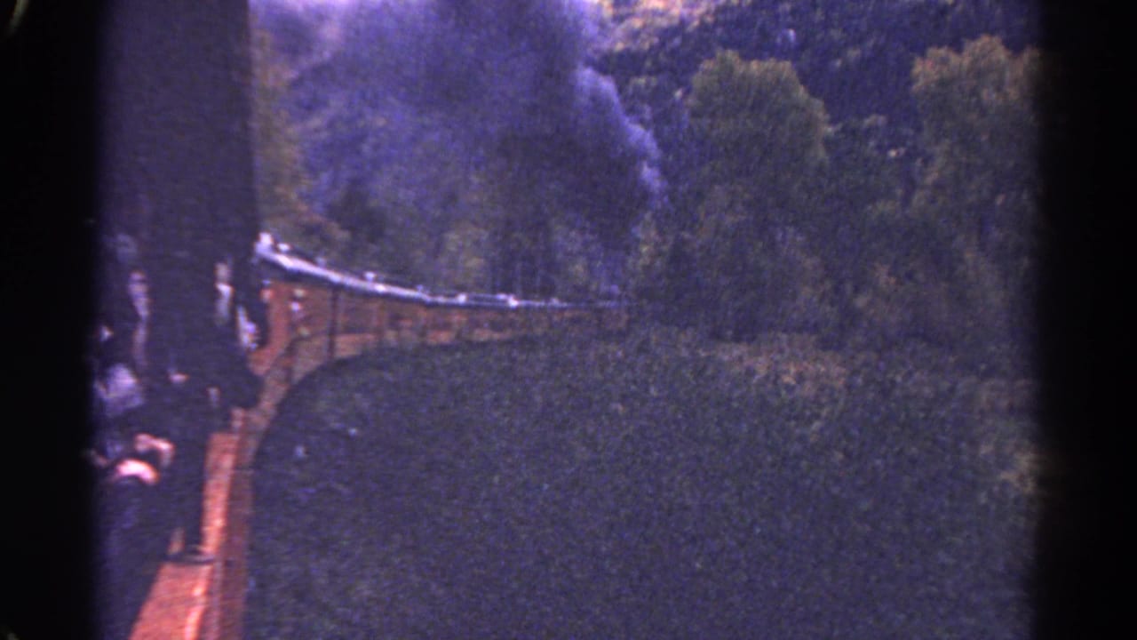 Curved steam train track in dense trees with smoke drifting upward.