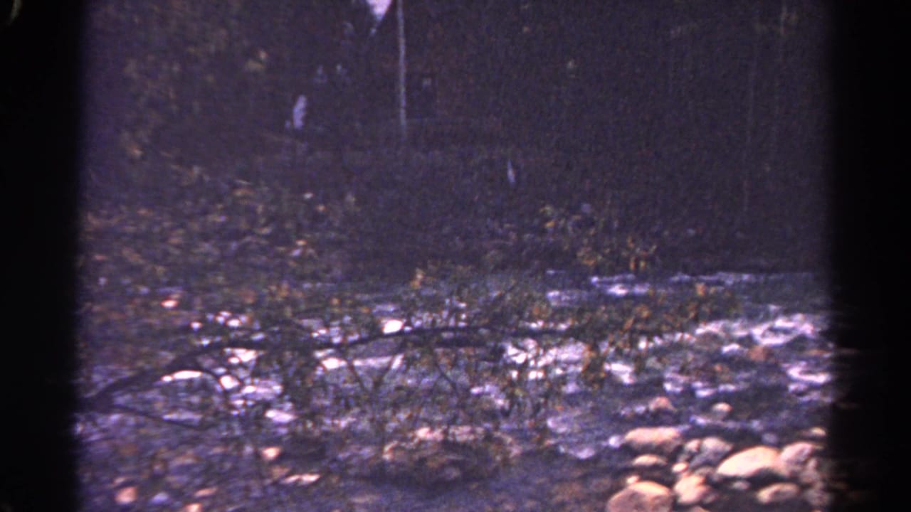 1967 Colorado 8mm frame showing water moving over stones in a shaded wooded stream.