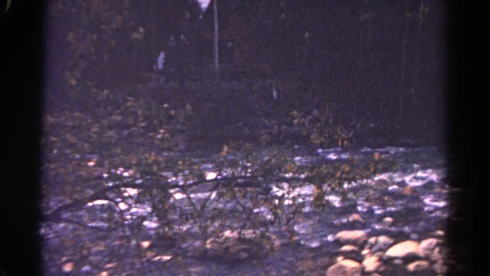 1967 Colorado 8mm frame showing water moving over stones in a shaded wooded stream.