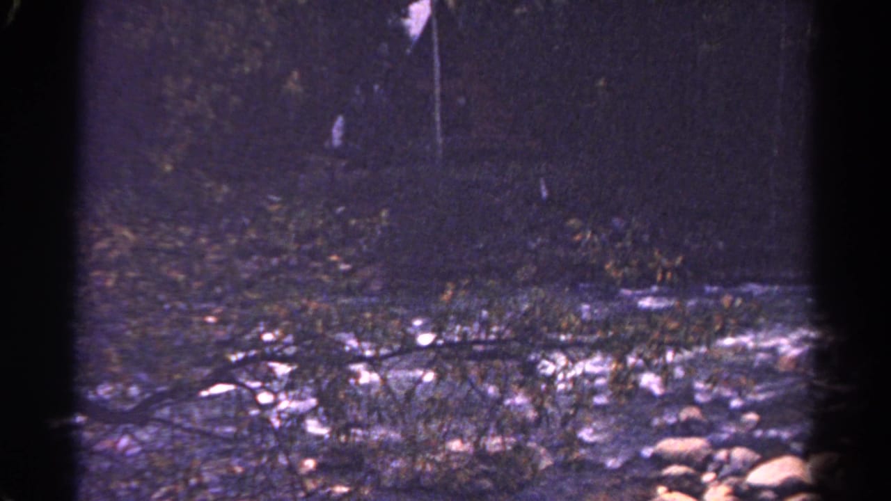 1967 Colorado home-movie view of a shallow rocky creek with branches across the water.
