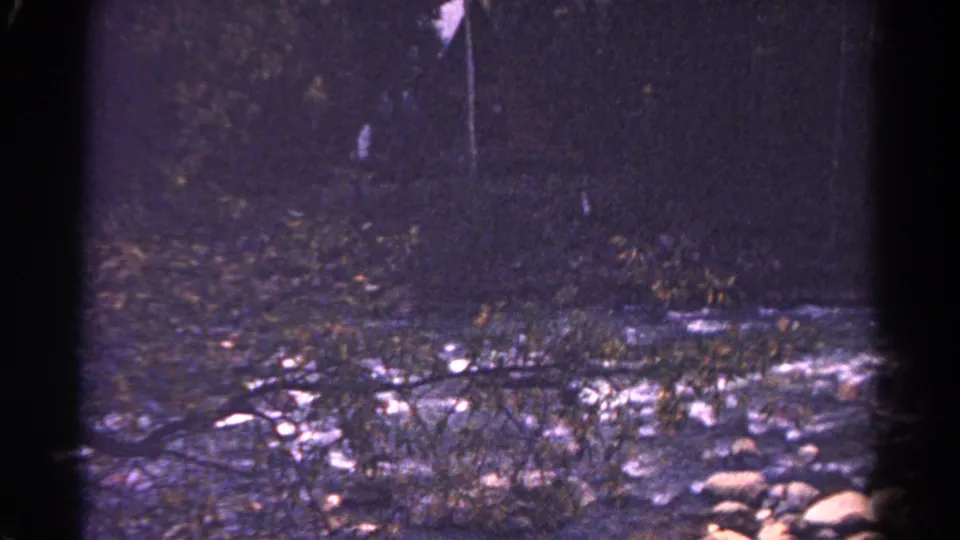 1967 Colorado home-movie view of a shallow rocky creek with branches across the water.