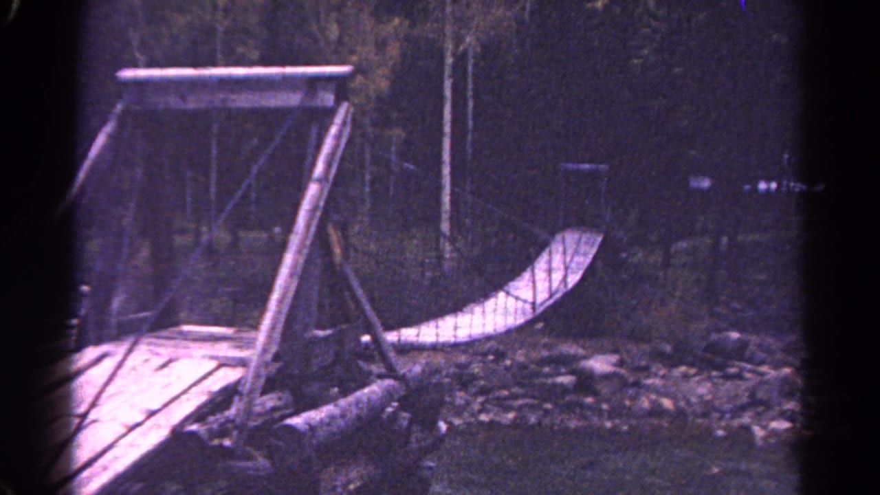 Closer view of the wooden bridge deck and curved side rail in a wooded area.