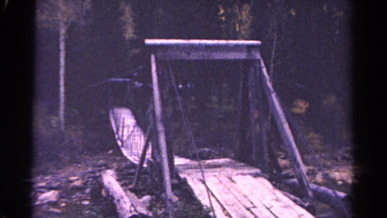 Side view of the rustic bridge with railing and forest behind it.