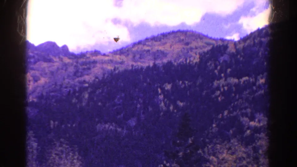 1967 Colorado 8mm frame showing dense trees across a mountain slope, with distant rocky forms and faded color.