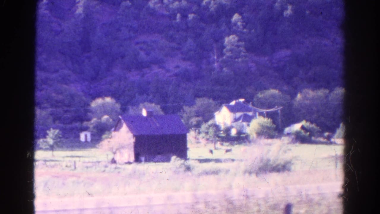 Barn and light-colored house across a field with trees behind them.