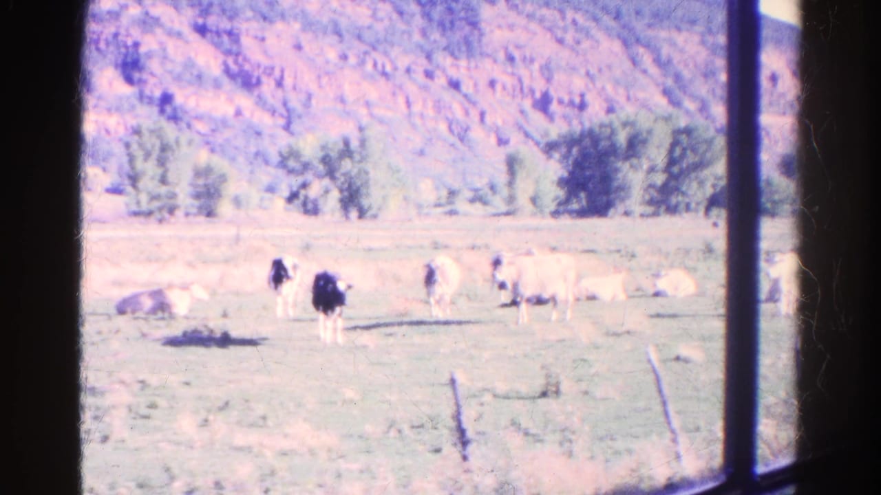 Cows scattered across a pasture seen through dark window bars with a hillside behind them.