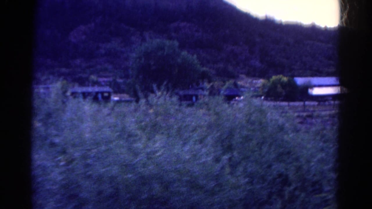 1967 Colorado home-movie view across tall grass toward wooded hills and small rural structures under shifted blue color.