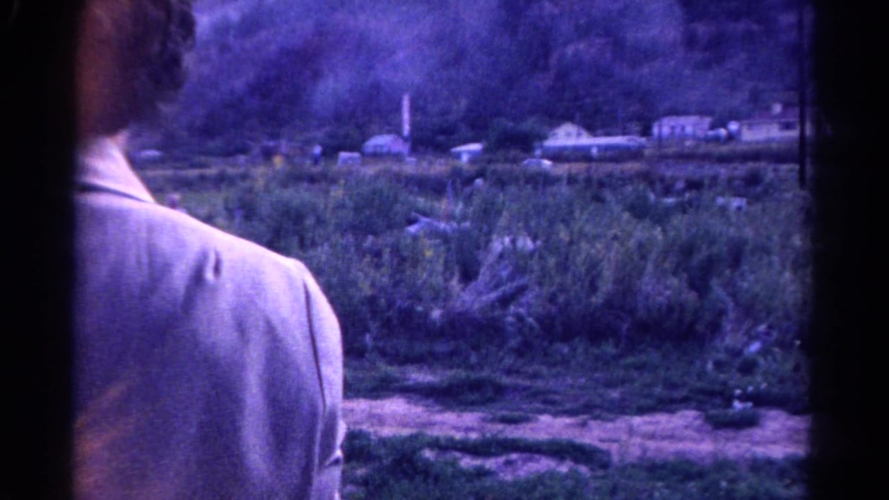 Passenger in a light jacket seen at a vehicle window overlooking brush and distant houses.