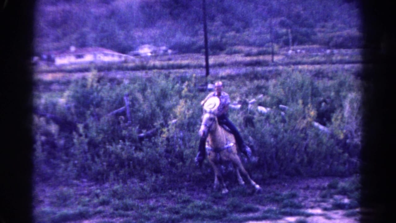 Adult rider on a palomino horse crossing a brushy field.