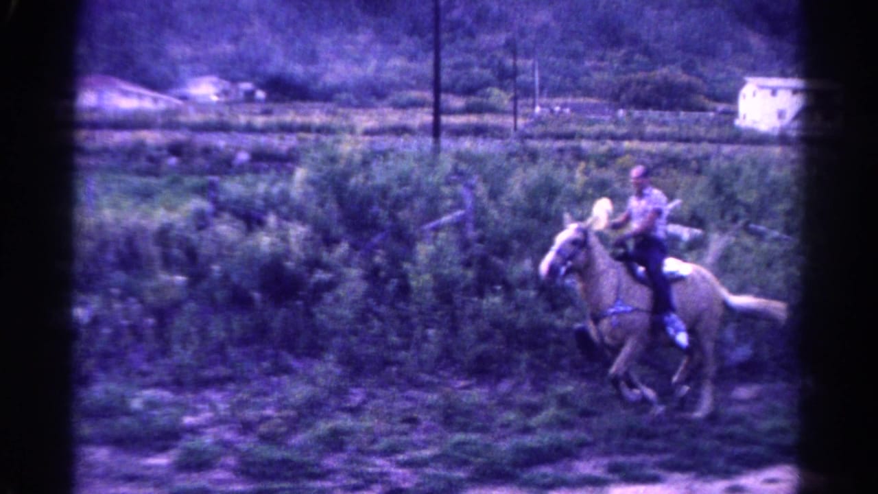 Palomino horse and rider moving right through dense green brush.
