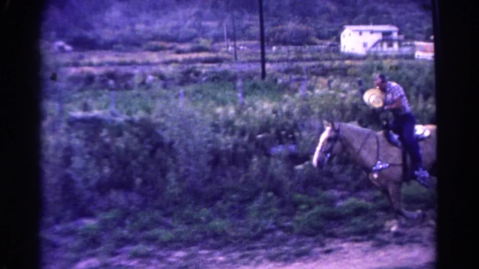 The adult rider in a cowboy hat guides the palomino horse along the edge of the frame in 1967 Colorado home-movie footage.
