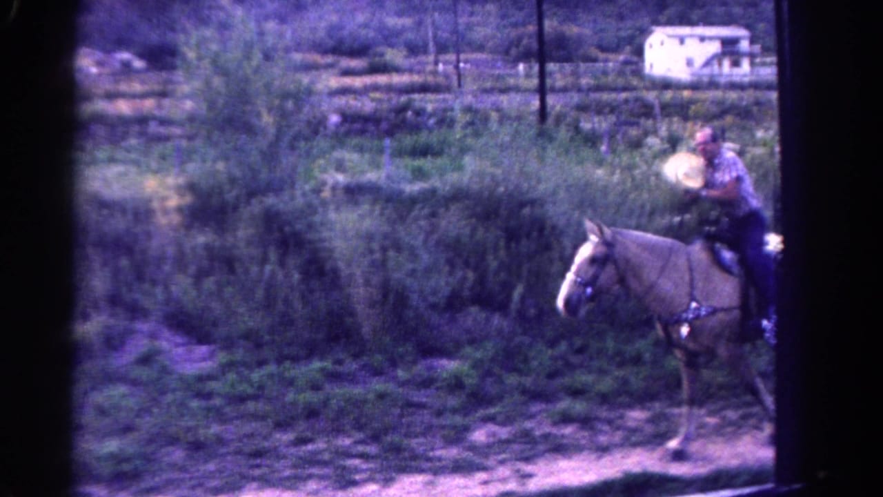 Man in a plaid shirt riding a light-colored horse across a grassy roadside area.