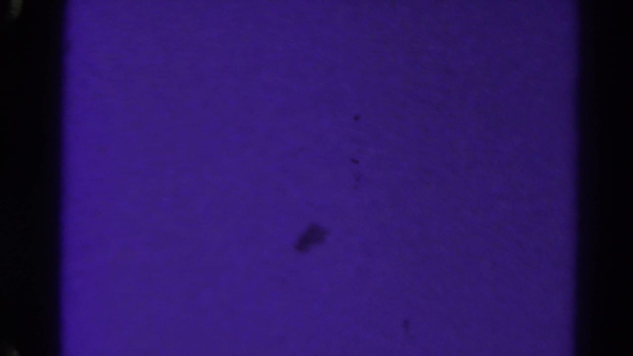 1967 8mm Colorado footage begins on a dark purple, underexposed frame with black borders and visible film dust or marks.