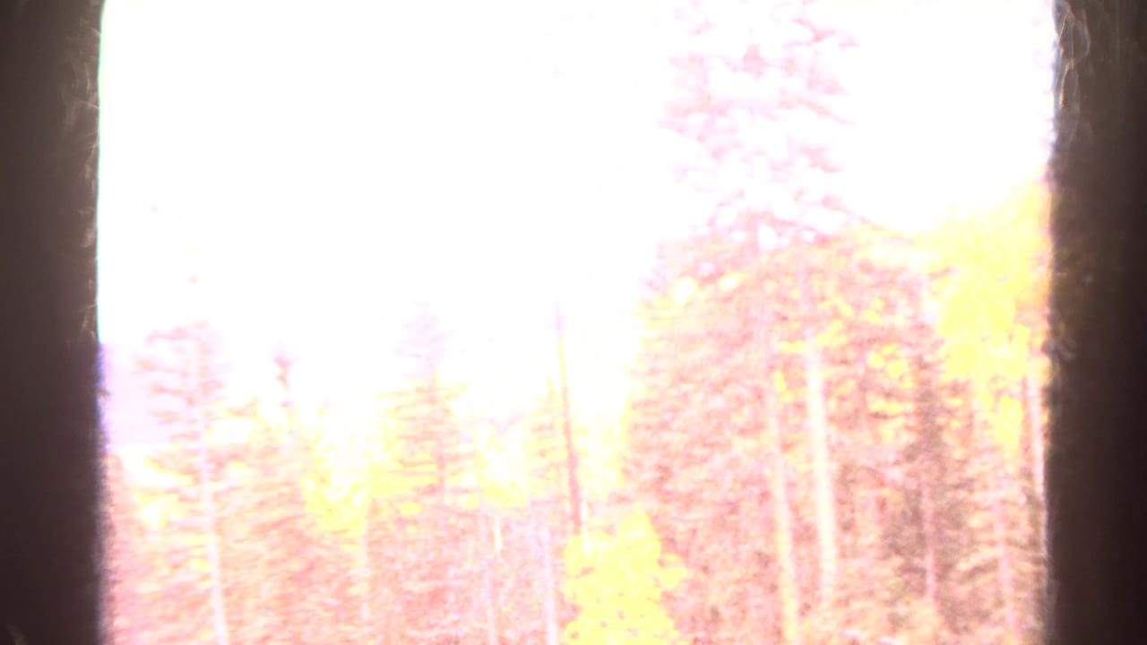 Overexposed sky and pale tree line seen between dark vertical borders.