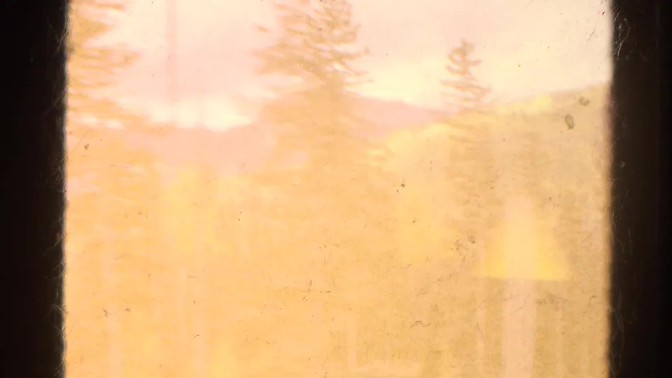 Warm, hazy 1967 Colorado 8mm view of pine trees and distant hills, framed by dark vertical edges and aged film marks.