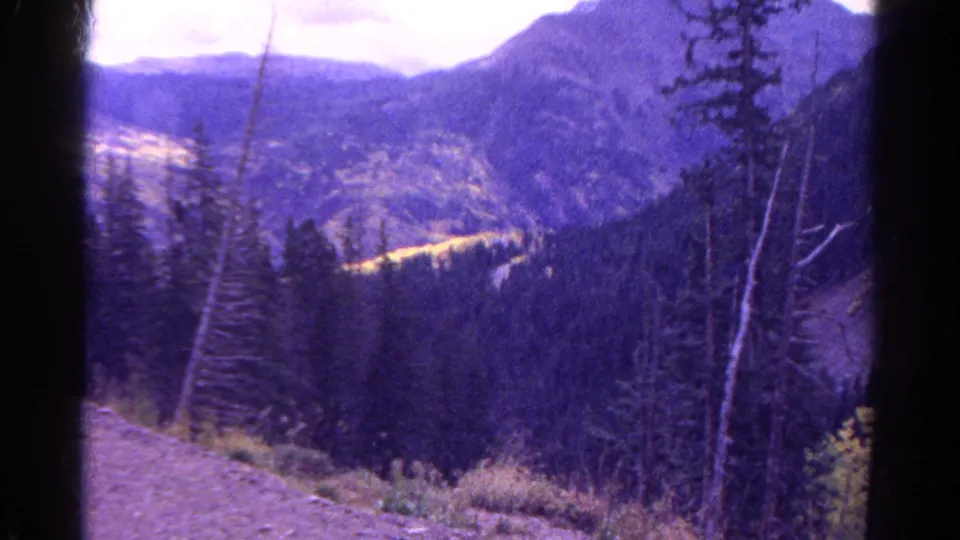 1967 Colorado 8mm frame showing a forested mountain vista, bare foreground trunks, soft focus, and purple-yellow film color shift.