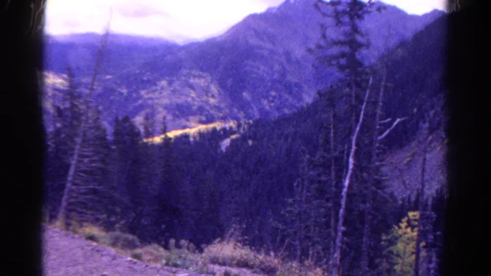 1967 Colorado 8mm frame of pine forest and distant mountains, with handheld framing, gate shadows, and aged purple color shift.