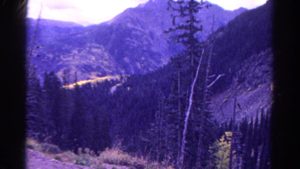 Forested mountain slope with distant valley and visible film gate edges.