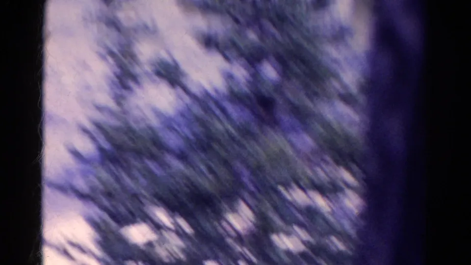 Motion-blurred 8mm frame from the Colorado overlook, with evergreen branches crossing the view during the pan.