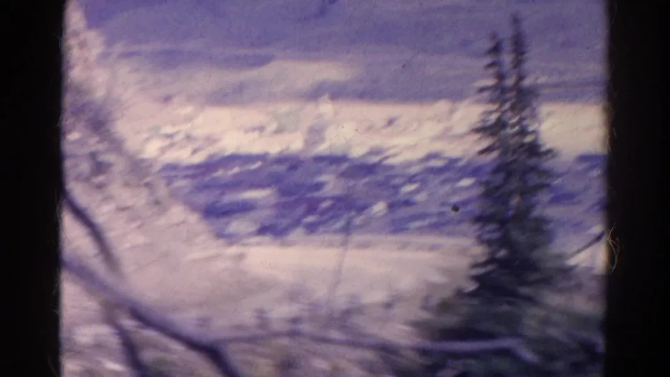 Handheld 1967 Colorado 8mm view of a snowy valley, evergreen tree, blurred branches, and soft mountain forms during fast camera movement.