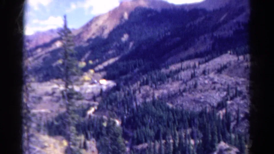 1967 Colorado 8mm frame caught during a handheld pan, with a foreground tree crossing a forested mountain valley.