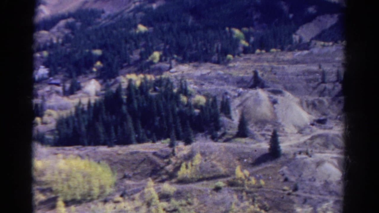 Rocky mountain valley with evergreen forest, pale aspen patches, and distant slopes.