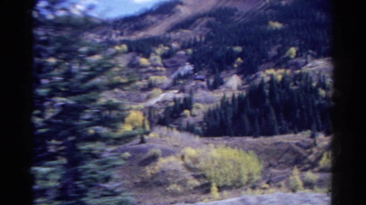 1967 Colorado driving view with a blurred foreground tree, evergreen forest, yellow aspen patches, and mountain slopes beyond.