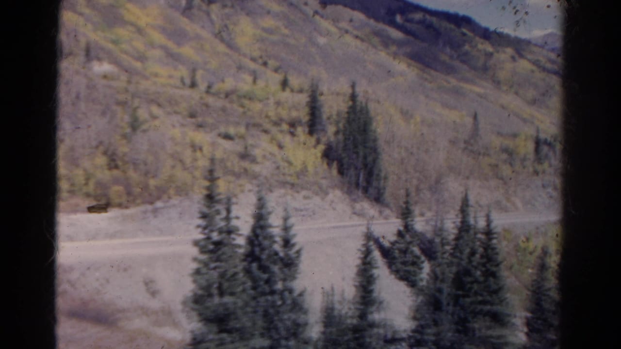 1967 Colorado mountain-road view with evergreens, muted autumn foliage, and a small dark shape near the roadside that is not clearly identifiable.