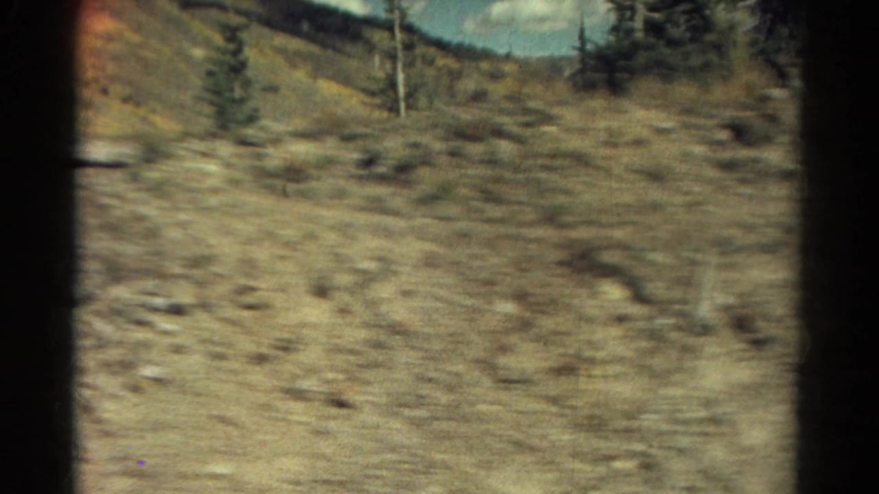 Blurred view of rocky mountain ground with sparse evergreen trees and distant hills.
