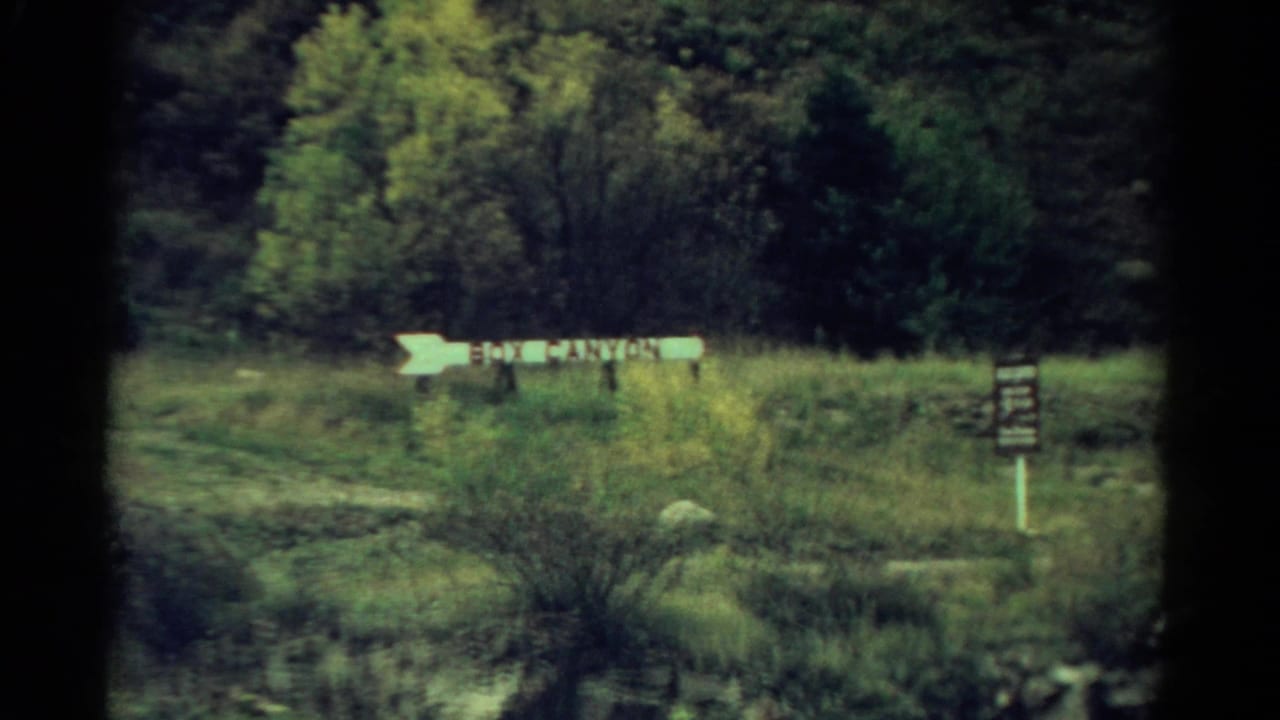 White arrow-shaped Box Canyon sign in a Colorado grassy clearing, with trees, shrubs, and a smaller dark sign nearby.