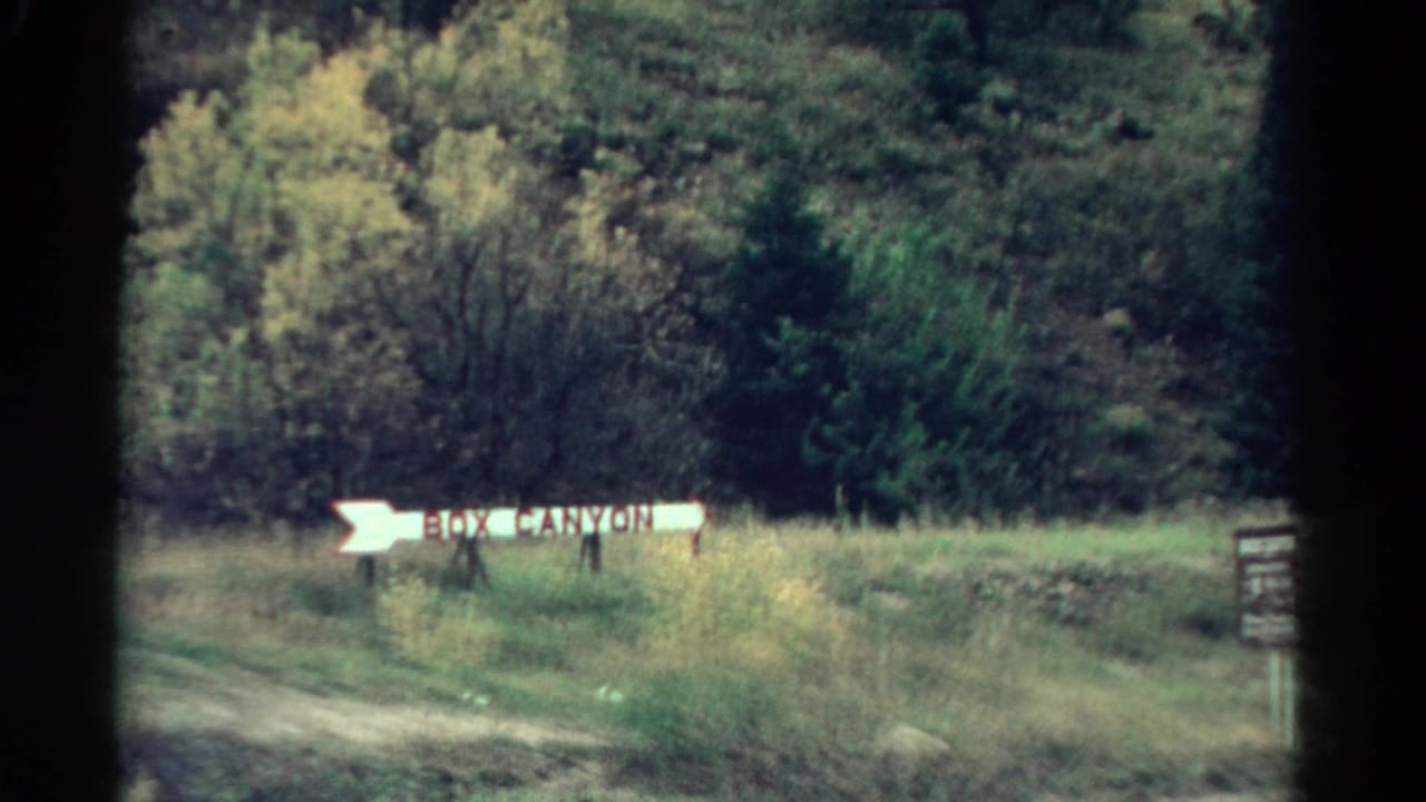 White Box Canyon arrow sign beside grass and trees.