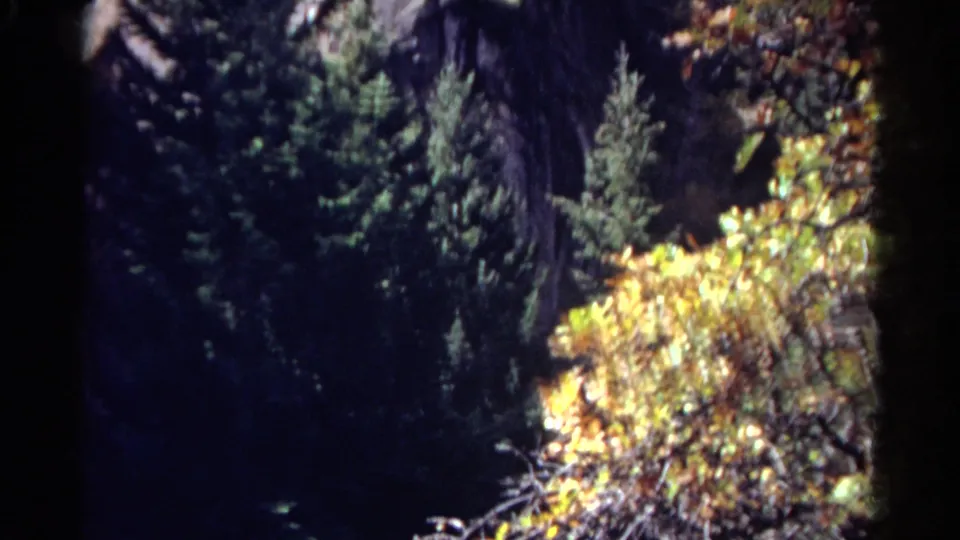 Colorado canyon scenery with dark evergreens, rocky shadows, and yellow autumn foliage in a brief 8mm travel view.
