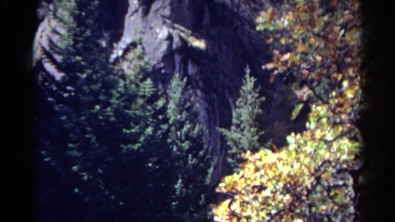 Rocky mountain cliff with evergreen trees and autumn foliage.