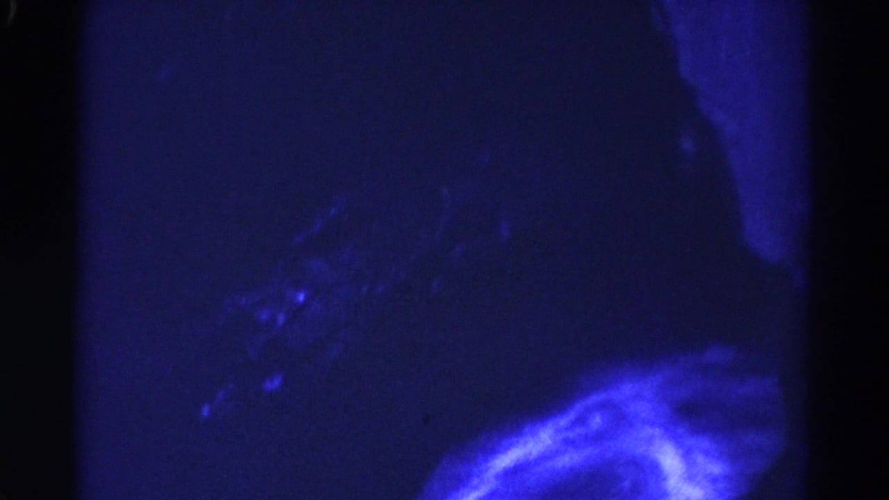 Dark blue water field with faint bright ripples and black film-edge borders.