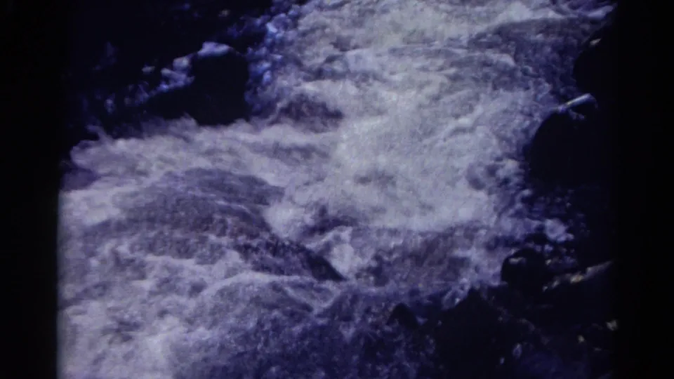 White turbulent water moves across dark rocks in a shadowed Colorado canyon stream.
