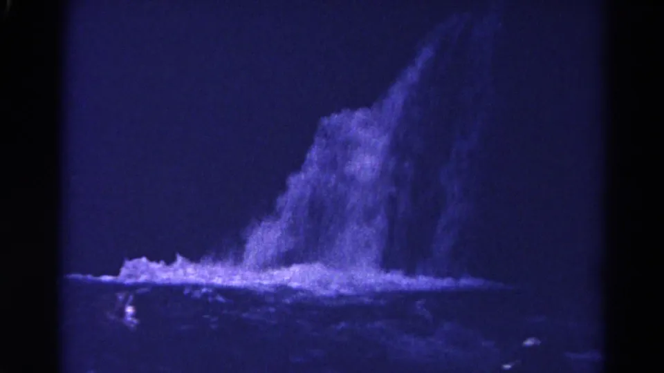 Purple-tinged 1967 8mm frame with soft focus, showing a bright horizontal water or rock edge in a dark canyon view.