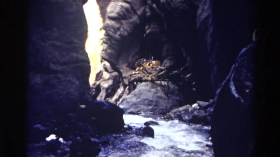 1967 Colorado 8mm frame showing a stream running through a narrow rock channel with boulders and strong light contrast.