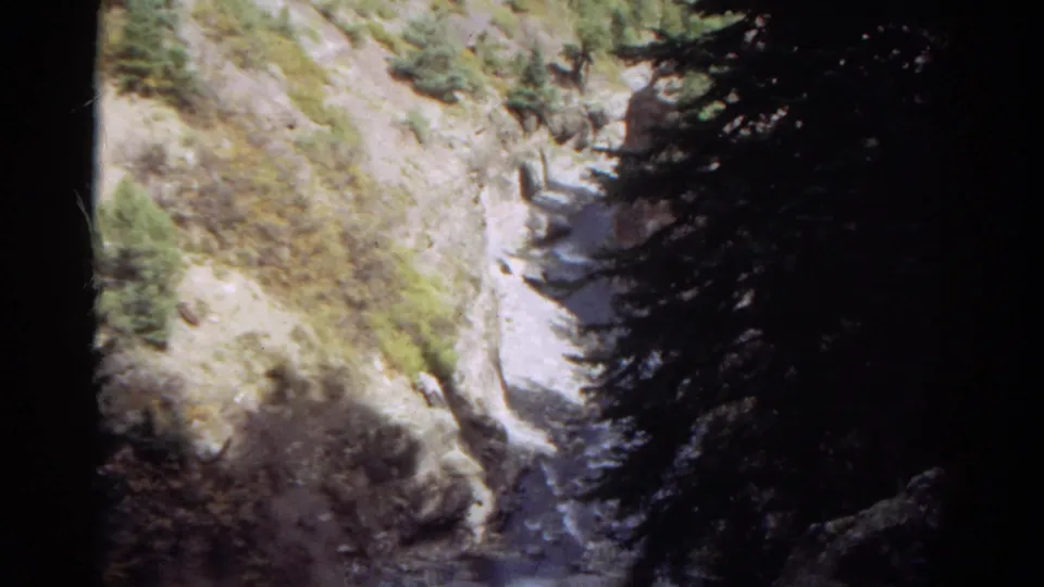 1967 Colorado 8mm frame looking down into a steep rocky ravine with scrub vegetation and evergreen branches in shadow.