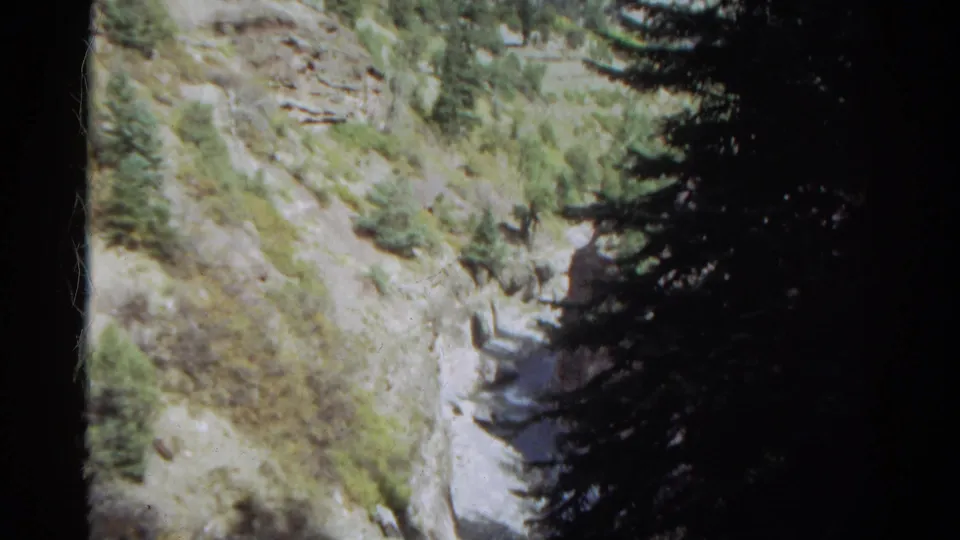 1967 Colorado 8mm frame of a steep canyon wall and narrow ravine, partly obscured by dark evergreen branches and rock shadow.