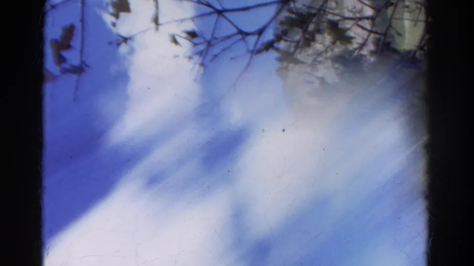1967 8mm frame tilted upward toward blue sky, soft clouds, and overhanging tree branches in a Colorado forest setting.