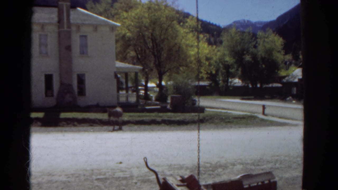 Horse standing near a white two-story house with trees, dirt road, and mountains beyond.