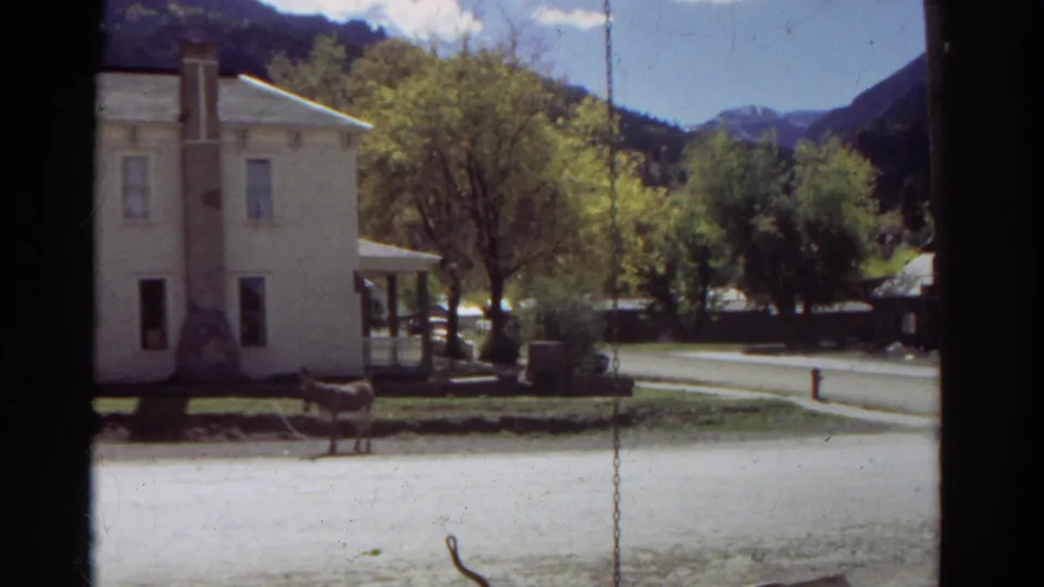 1967 Colorado 8mm view of a horse standing by a roadside near a white house, with trees and mountain ridges beyond.