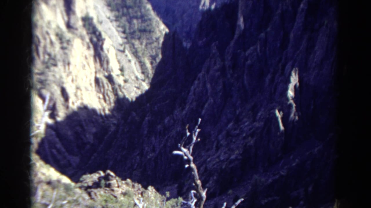 Deep canyon view with bright cliff face and dead branch foreground.