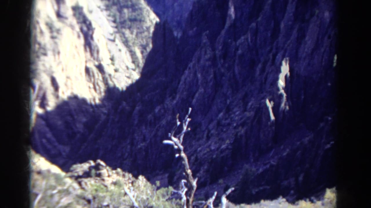 1967 Colorado 8mm frame showing a bare dead tree against dark canyon walls and a bright sunlit rock face.