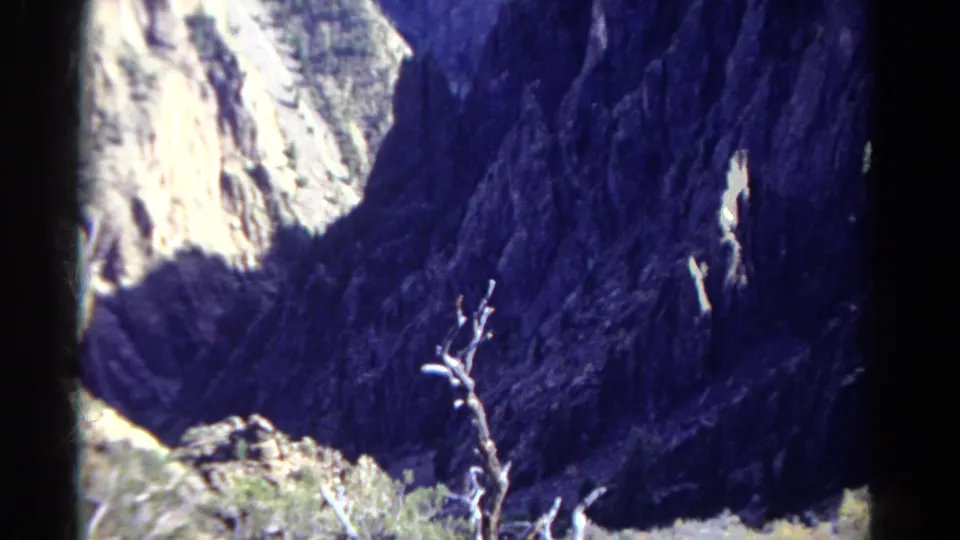 1967 Colorado 8mm frame showing a bare dead tree against dark canyon walls and a bright sunlit rock face.