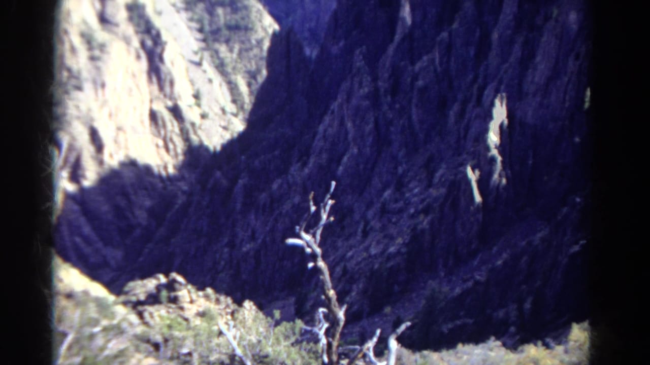 Rocky canyon wall with a bare tree in the foreground and deep blue-purple shadows.