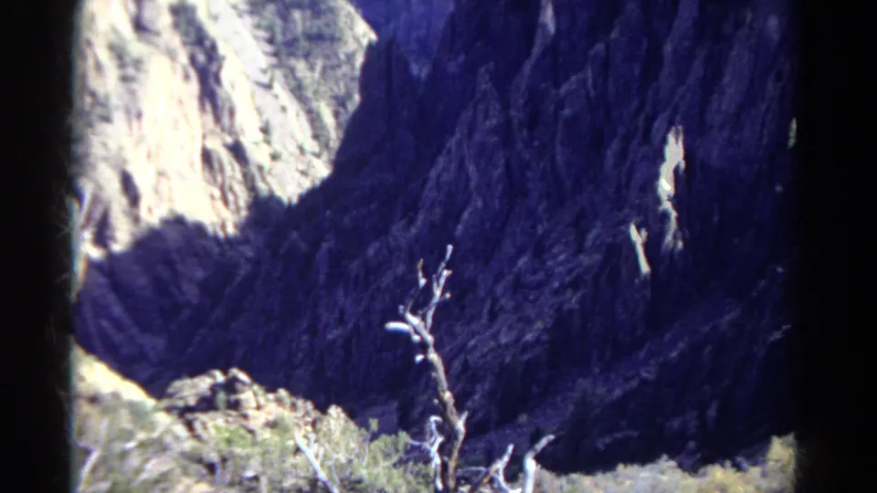 Colorado 8mm footage frame with a stark dead tree set against steep cliffs, sunlit rock, and dark shadowed canyon surfaces.